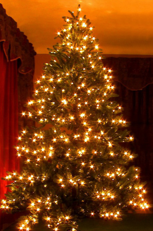 �rvore com luz branca