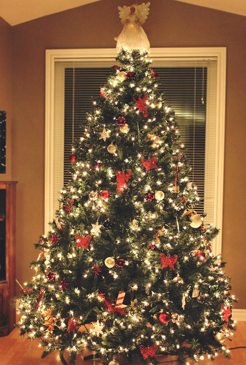 �rvore com anjo no topo