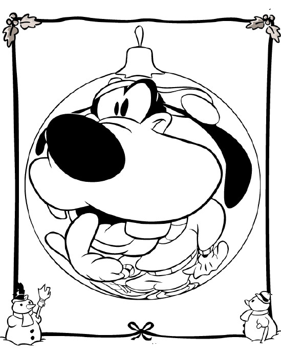 Patela aparvalhado com o seu reflexo na bola de enfeite da arvore